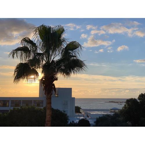 Phaedrus Living: Seaside Luxury Flat Natalia House 102