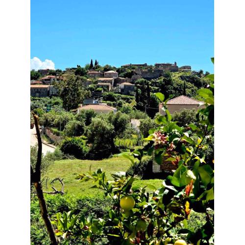 Philoxenia guest house