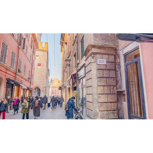 Piazza Grande - Italian Homing