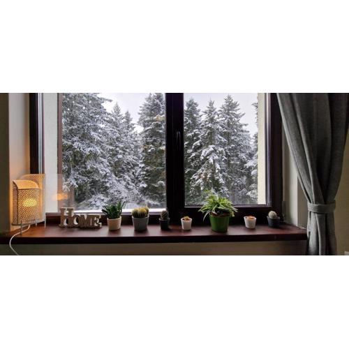Pine Tree Apartment / Borovets Gardens