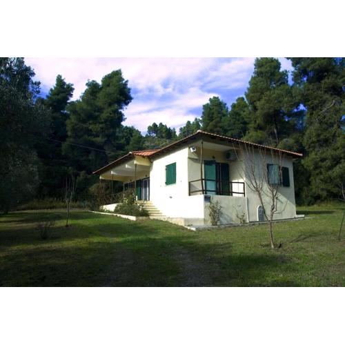 Pine Tree Cottage