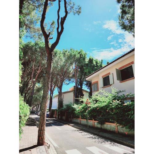 PineTrees Gem Villa Golem
