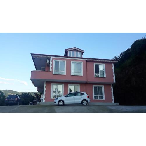 Pink village home