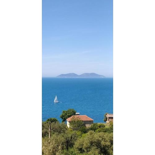Pinwheel Hostel Vlora & Rooftop Bar