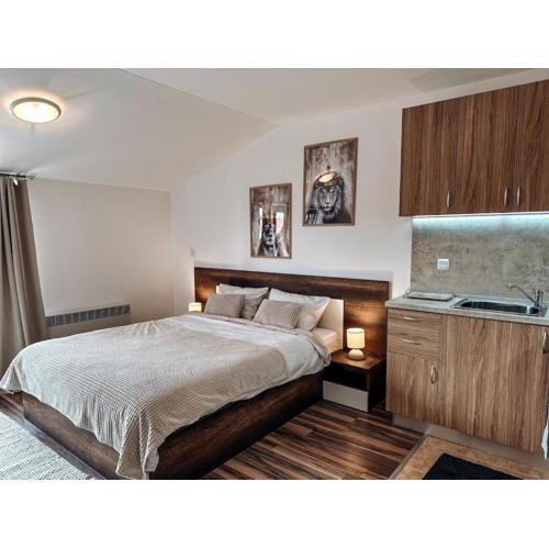 Pirin Apartament