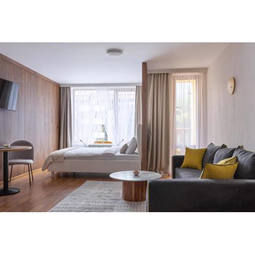 Pirin Sense Family Apartment - SPA - FREE Parking - BBQ