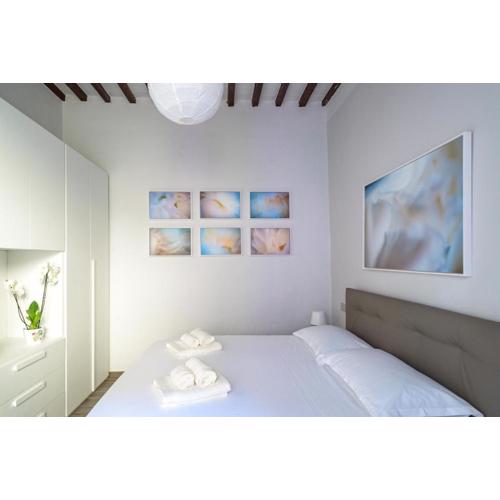 Pisa Art Apartment