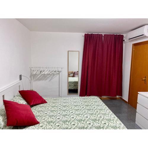 Pisani Apartment