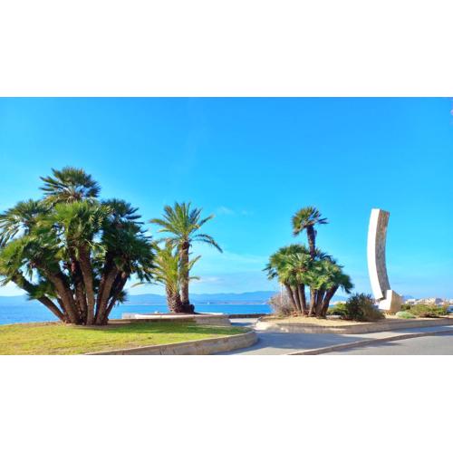 Plage à 700m : Cocon Paisible