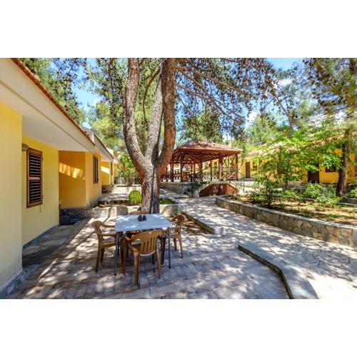 Platres Valley Houses