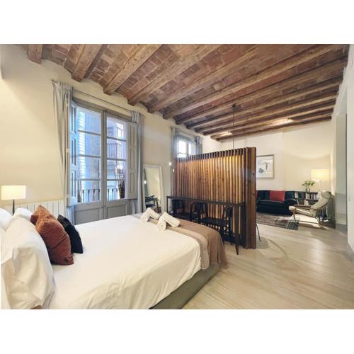 Plaza Catalunya IX Apartment