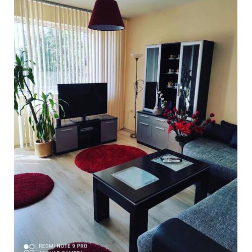 Pleven Sunny Apartment