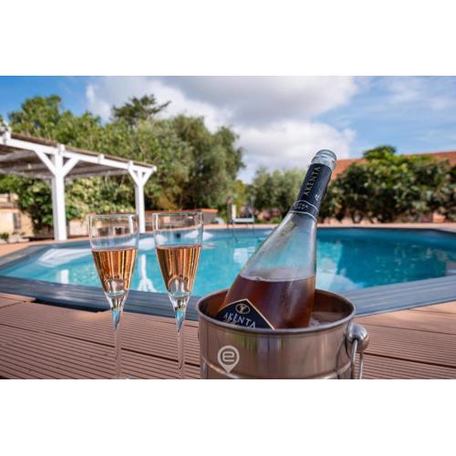 Podere 100 Country House - Apartment Aria