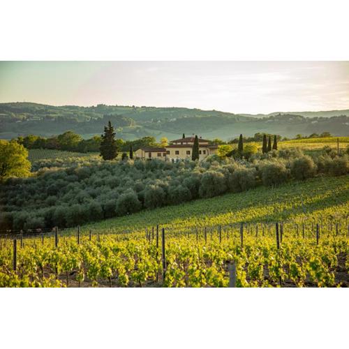 Podere San Michele