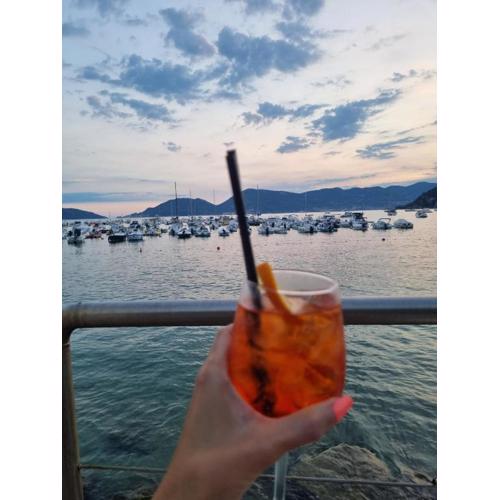 Poesia di Lerici