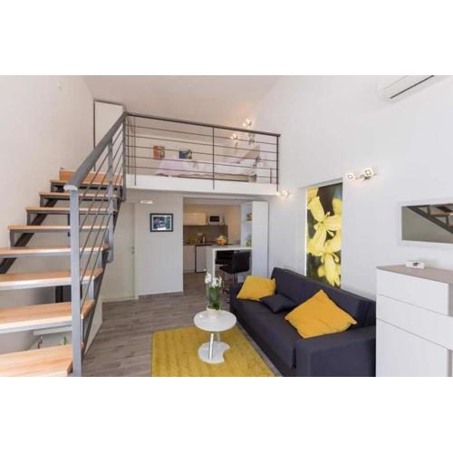 Pomet Superior Studio