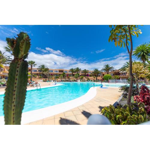 PoolViewZen-CorralejoPlaya