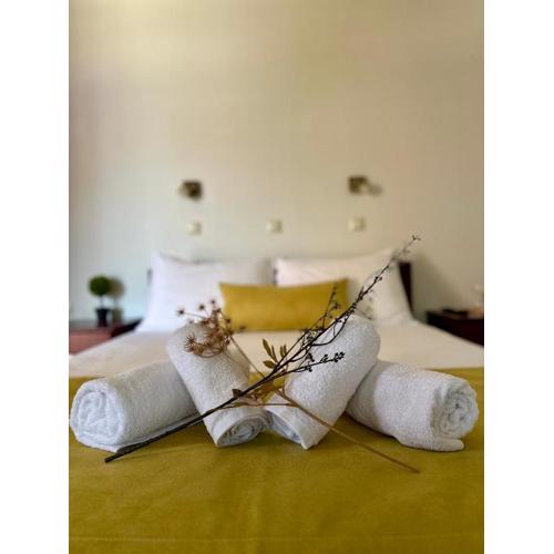 Porto Nuovo Studio 1