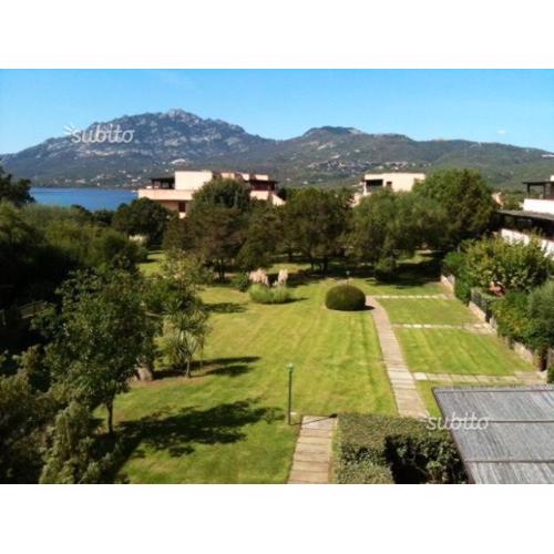 Porto Rotondo Lovely Apartment