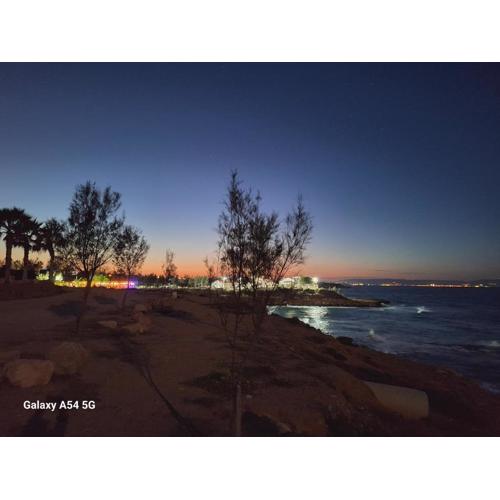 POSEIDONIA BEACH GARDENS