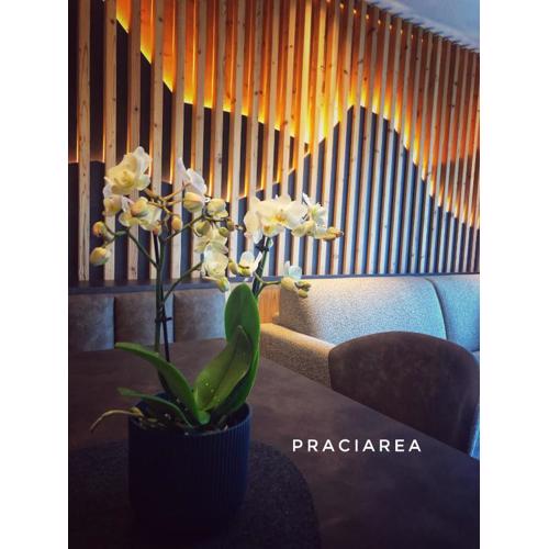 Pra Ciarea Apartments