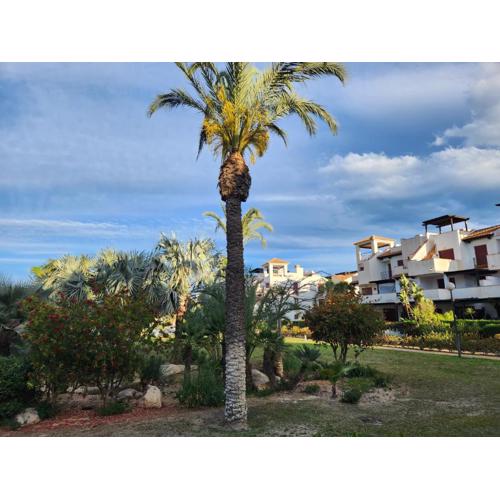 Precioso Bajo en Jardines de Nuevo Vera muy cerca de la piscina comunitaria y de la salida a la playa!