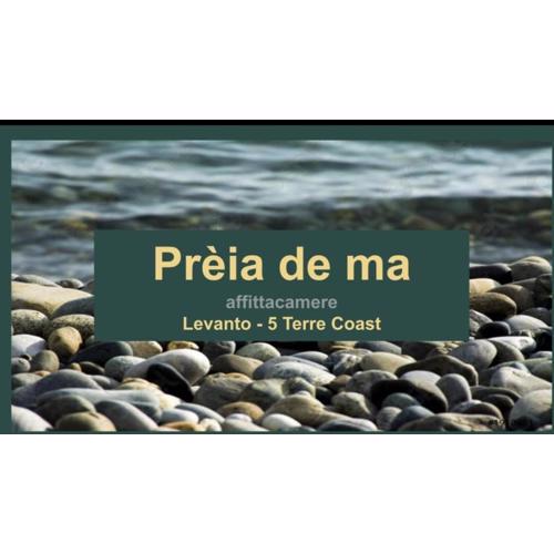 Preia de ma