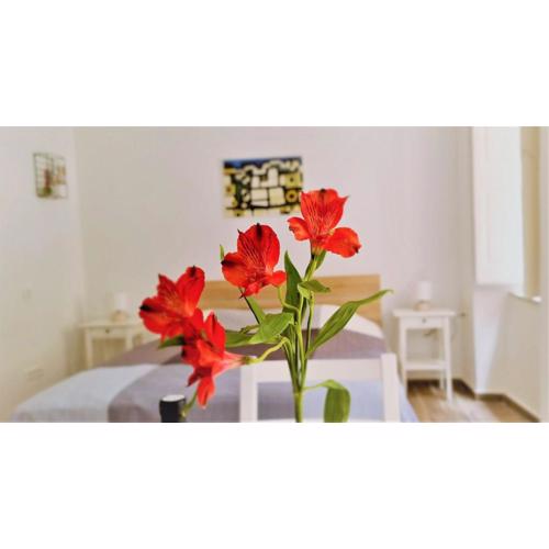 Prijeko relax apartment