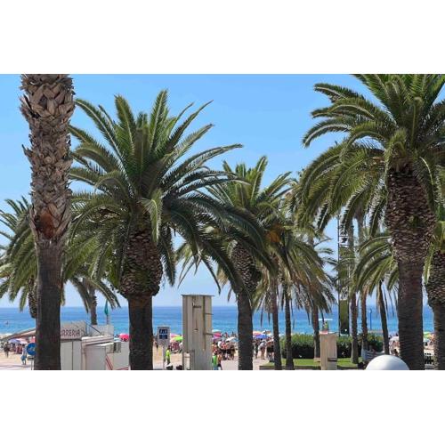 Primera línea de MAR con jardín
