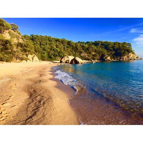 Private Apartments Cala Canyelles