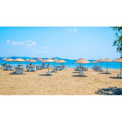 Private Beach Villa Melon