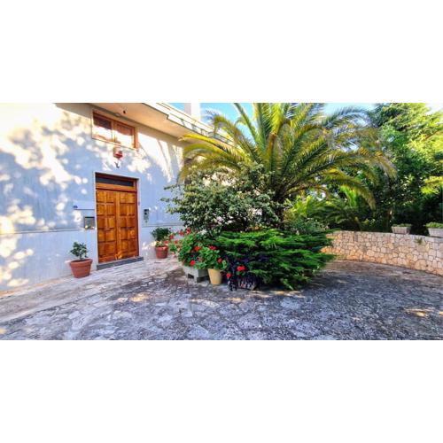 Private house in Locorotondo - Puglia - Italy