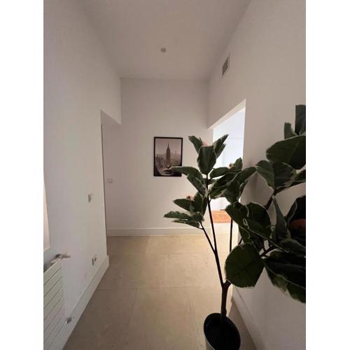 Private rooms in Magdalena Street