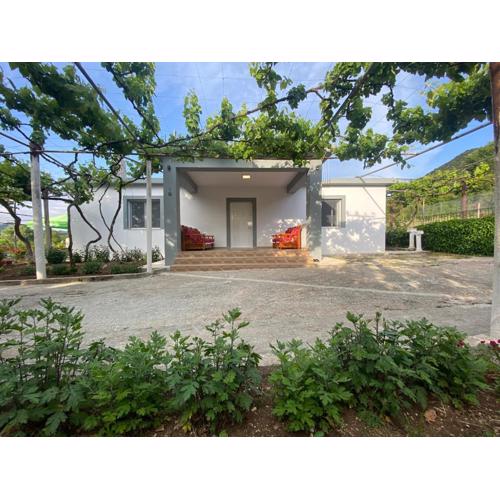 Progon House