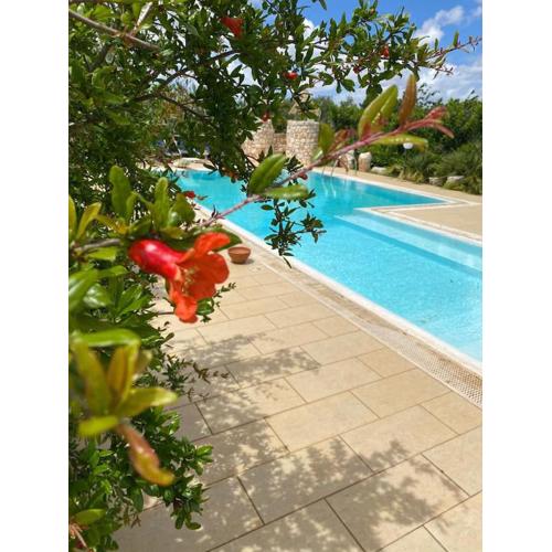 Pugliaholidayplus - VILLA CASSANO