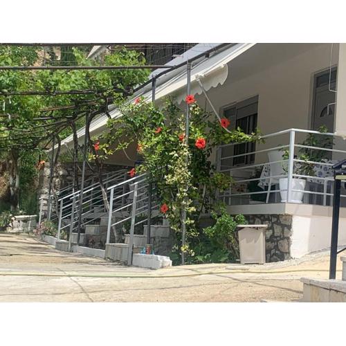 Qeparo View Rooms