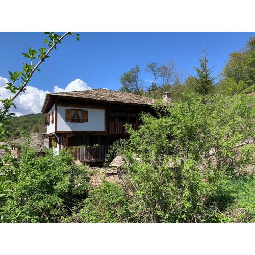 Q.pova house