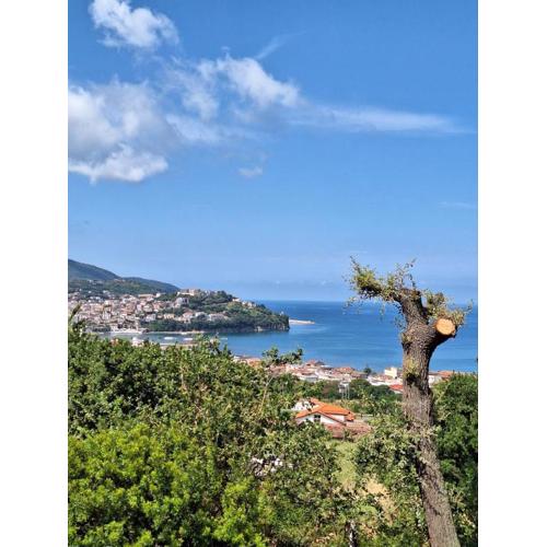 Querce vista mare