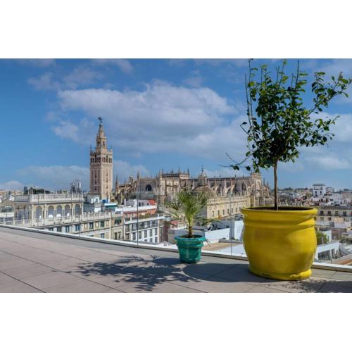 Querencia de Sevilla, Autograph Collection