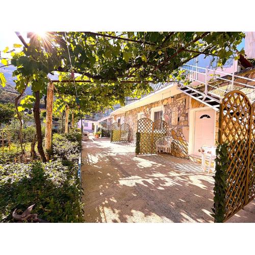 Quiet Blue Guesthouse