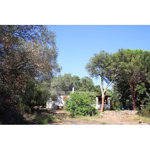 QUIET COTTAGE NEAR CITY CENTER