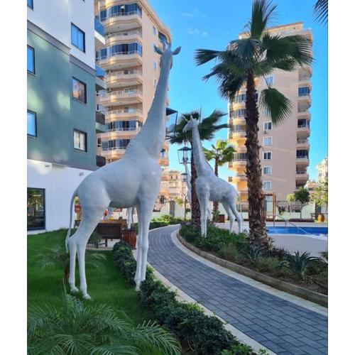 Red Premium Cost Alanya 2