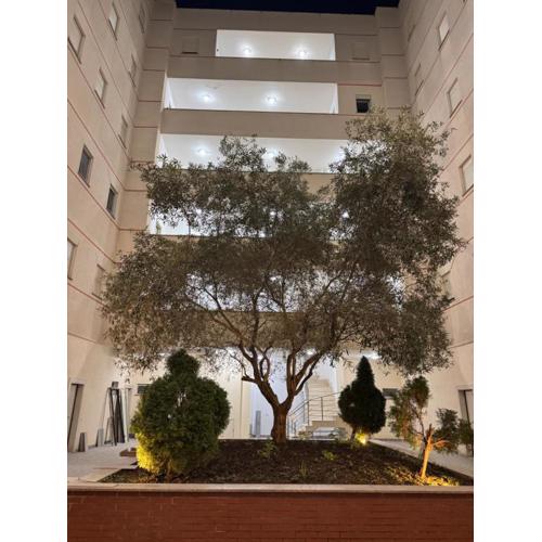 Relax Apartments Golem