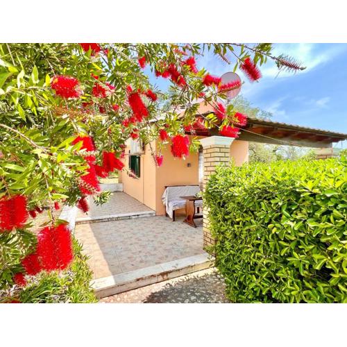 Renas Studio near Roda by DadoVillas