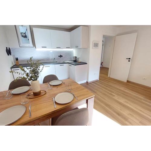 Renovated flat close to the centre