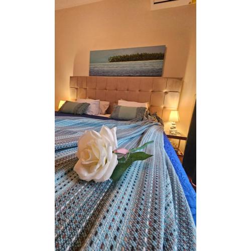 Rent apartment near sea in the Athens Center