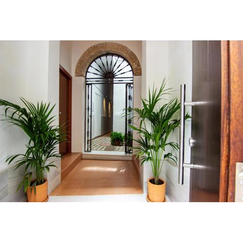 RentalSevilla Lumbreras I