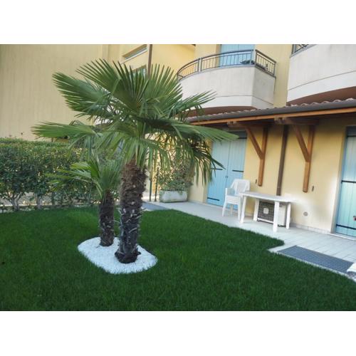 Residence Elisa Piano Terra con Giardino e Posto Spiaggia Incluso