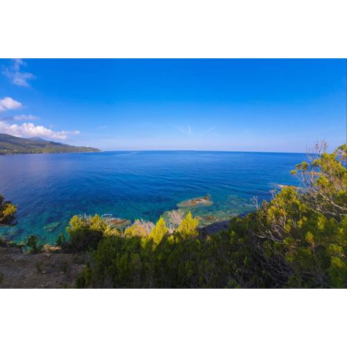 Residenza Le Tartarughe