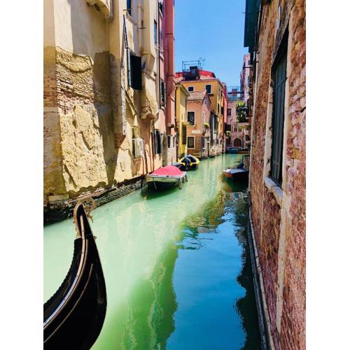 Rialto Apartment